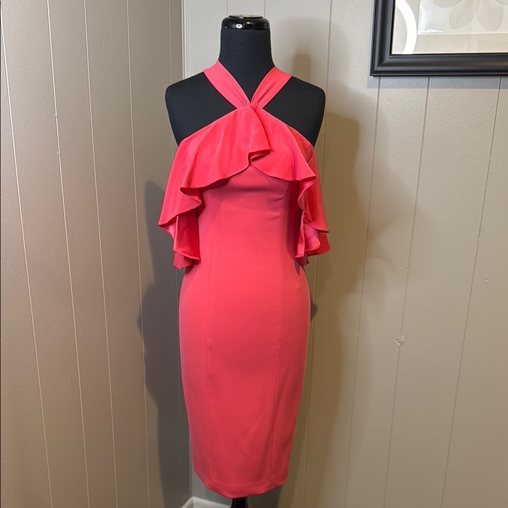 Z JAYGODFREY Women’s 0 Pink Bodycon Ruffle Midi Dress